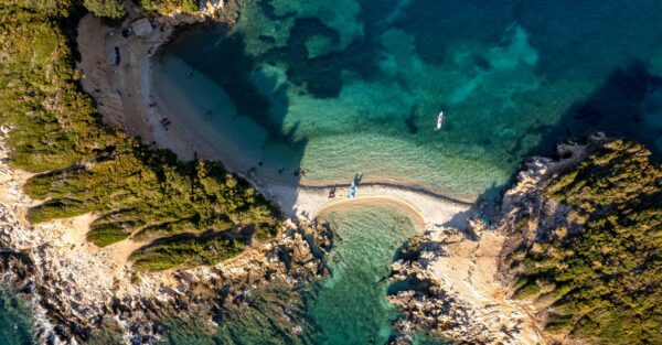 Untitled design – 2024-01-17T121551.051