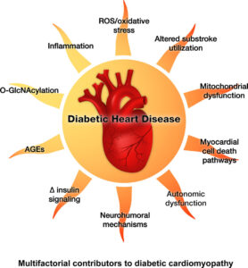 Diabetes-Cardiovascular Connection